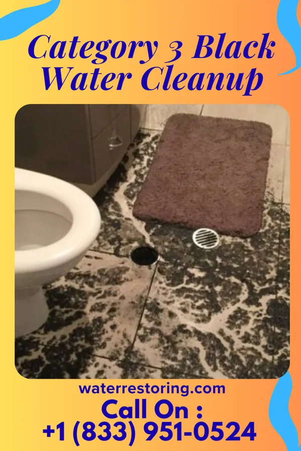 Category 3 Black Water Cleanup in Home Garden, CA